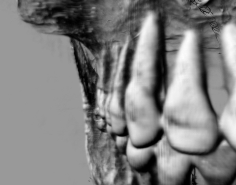 ../../../_images/wf_VolumeView_05.jpg